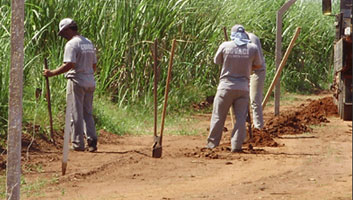 Serviços em Execução